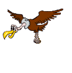 Gif animé vautour guette